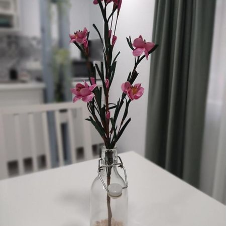 Nice & Cool Studio 토레몰리노스 외부 사진